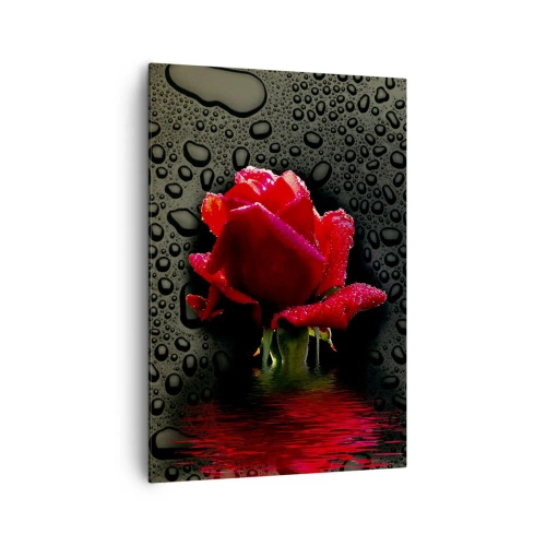 Quadro su tela - Stampe su Tela - Rosa rossa con gocce d'acqua su sfondo scuro - 70x100cm - Rosso e nero - Decorazione murale moderna per soggiorno e camera da letto ARTTOR
