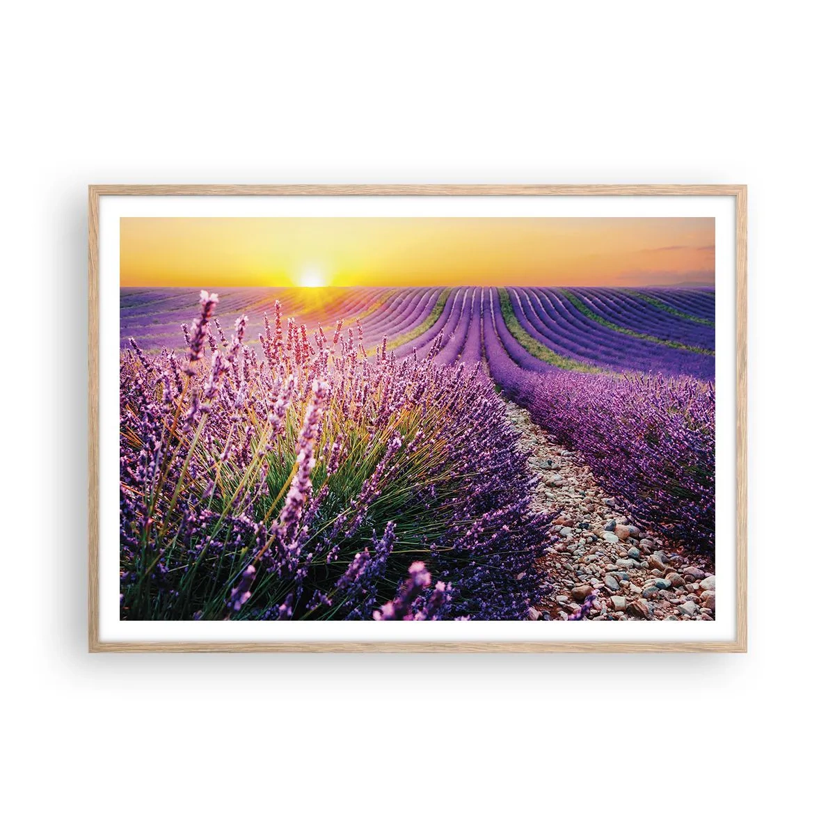 Poster in cornice rovere chiaro - Campo profumato - 100x70 cm