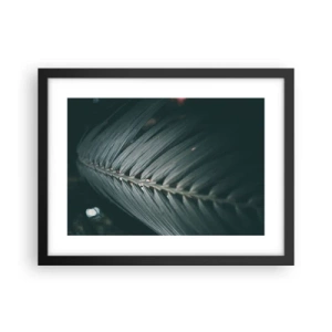 Poster in cornice nera - La precisione della natura - 40x30 cm