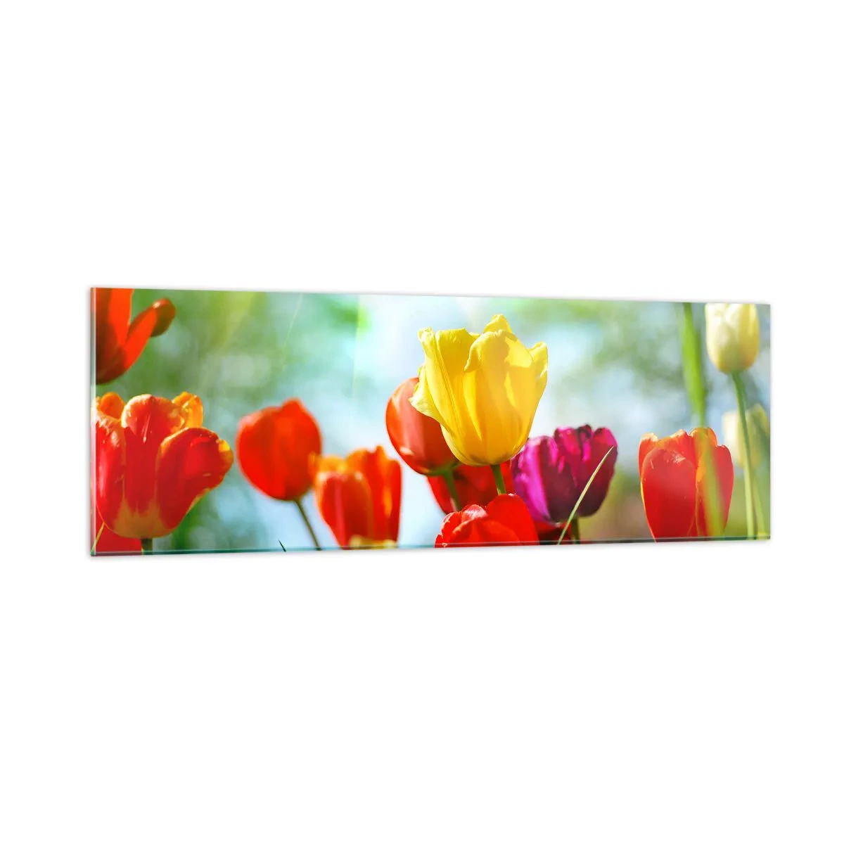 Quadro su vetro - Tutti i colori del sole - 90x30 cm