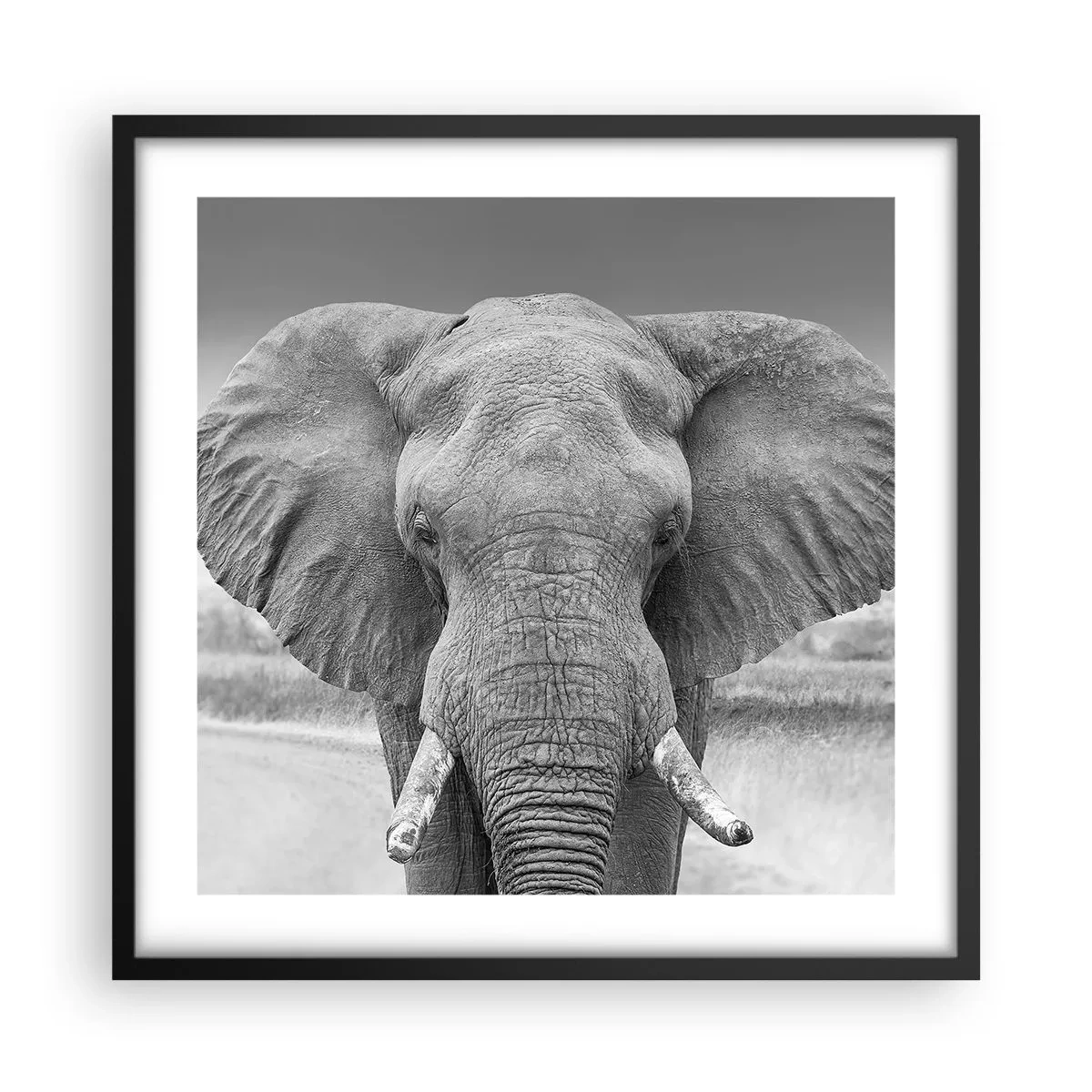 Poster in cornice nera - Benvenuti nel mio mondo - 50x50 cm