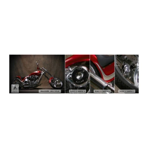 Campione di Fotomurale Premium Canvas - Bellezza in rosso e argento - Moto, Chopper, Settore automobilistico - 100x30 cm
