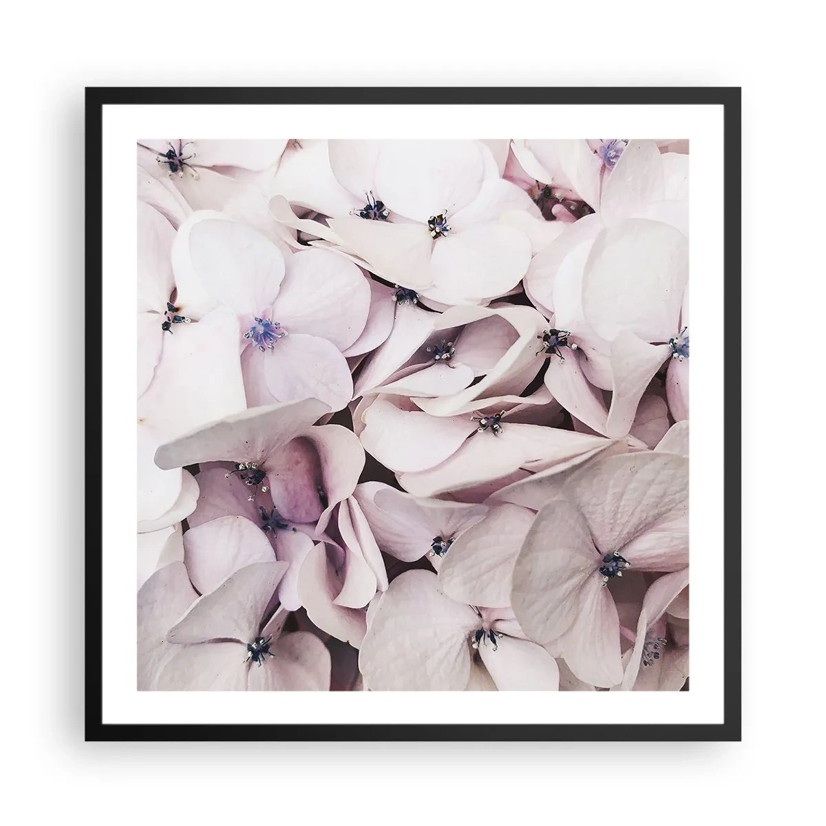 Poster in cornice nera - Un'alluvione di fiori - 60x60 cm