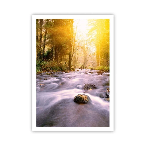Poster - Malachite in cornice oro-argento - 70x100 cm