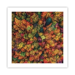 Poster - Il bouquet degli alberi d'autunno - 50x50 cm