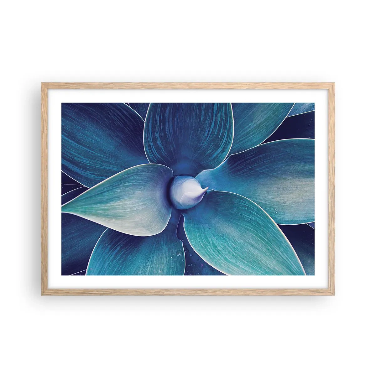 Poster in cornice rovere chiaro - Imbluito dal sole - 70x50 cm