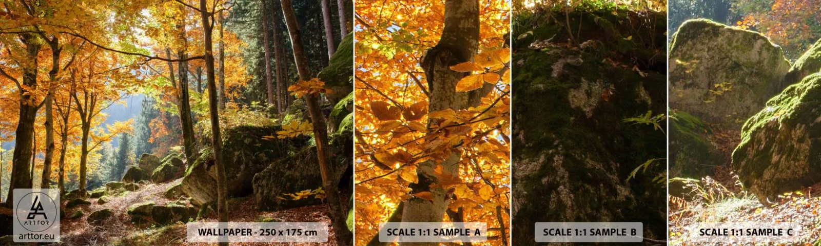 Campione Di Fotomurale Standard Eco - Il tempo del riposo - Paesaggio, foresta, Natura - 100x30 cm