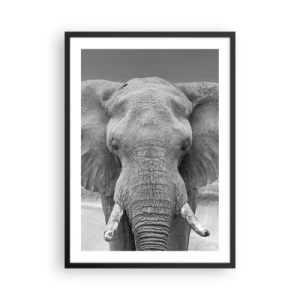 Poster in cornice nera - Elefante nella fotografia artistica in bianco e nero - 50x70cm - Benvenuti nel mio mondo - Decorazione murale moderna per soggiorno e camera da letto ARTTOR