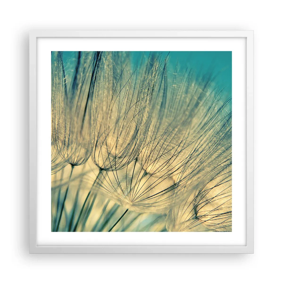 Poster in cornice bianca - Aspettando il vento - 50x50 cm