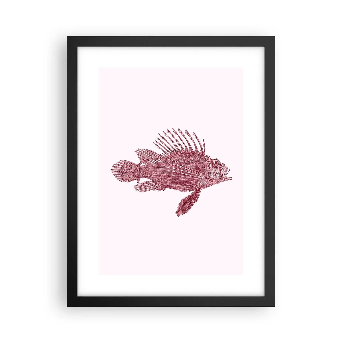 Poster in cornice nera - Abitante di mari esotici - 30x40 cm