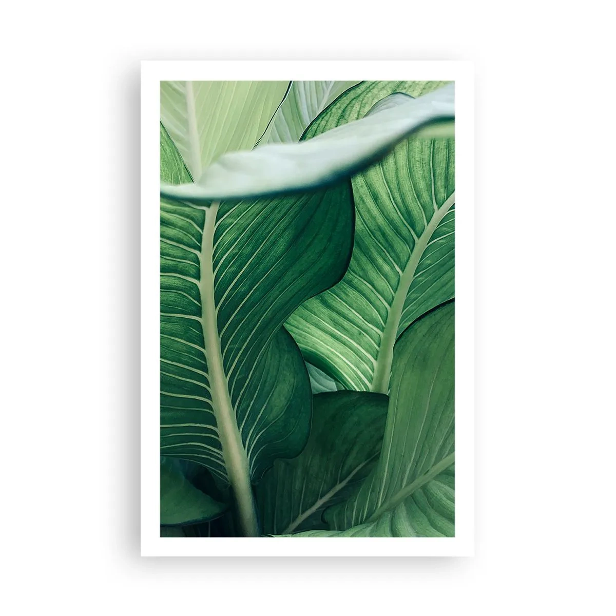 Poster - Una vita intensamente verde - 61x91 cm