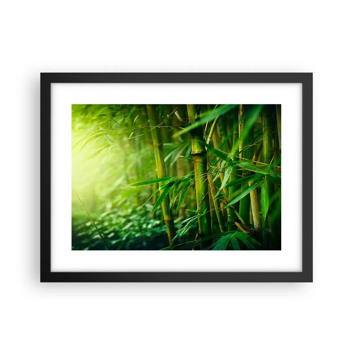 Poster in cornice nera - Conoscere il verde in sé - 40x30 cm