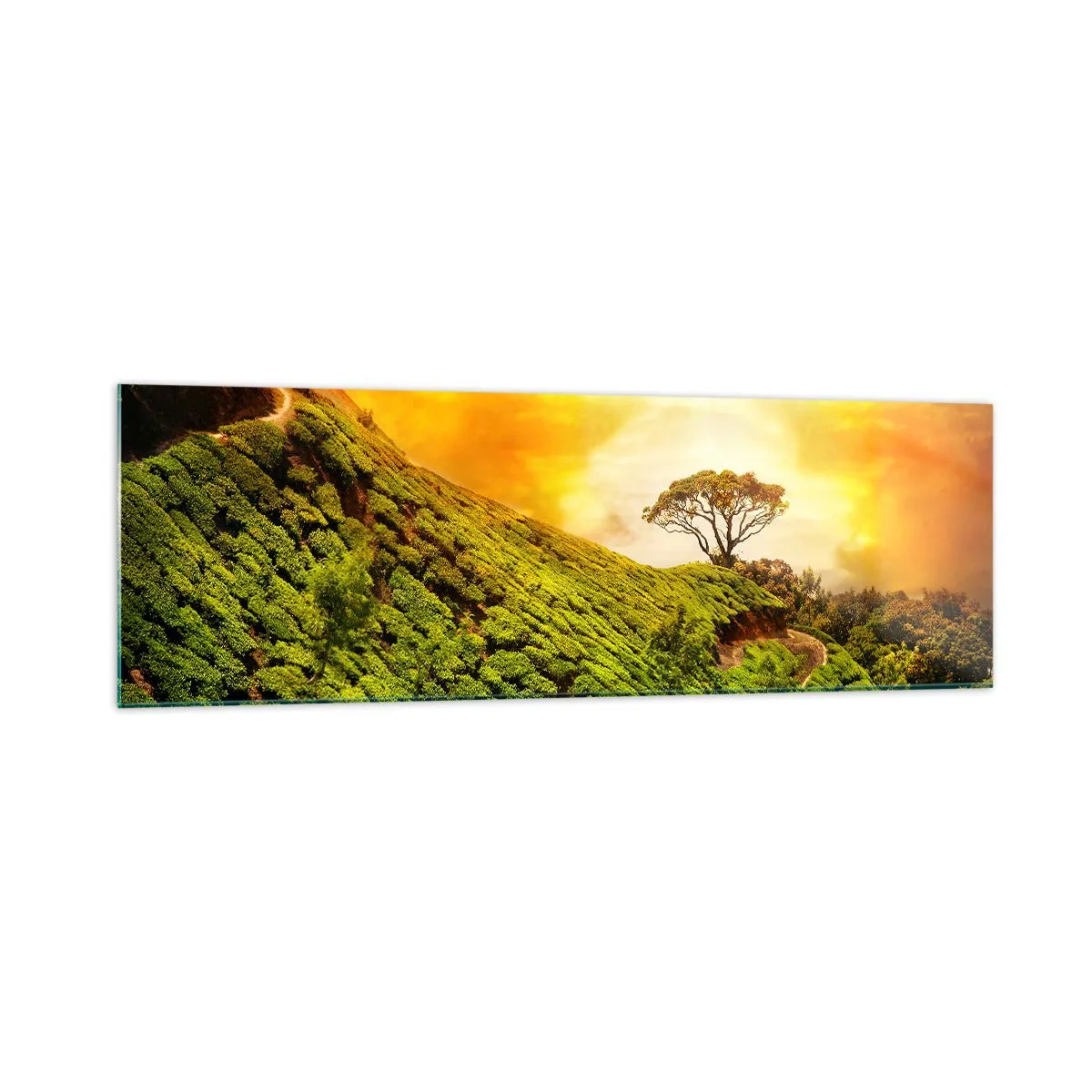 Quadro su vetro - Verdi colline di piantagioni di tè al tramonto - 160x50cm - Sentiero tortuoso, pendio verde - Decorazione murale moderna per soggiorno e camera da letto ARTTOR