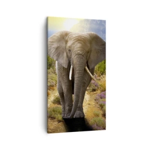 Quadro su tela - Stampe su Tela - Così era il paradiso - 45x80 cm