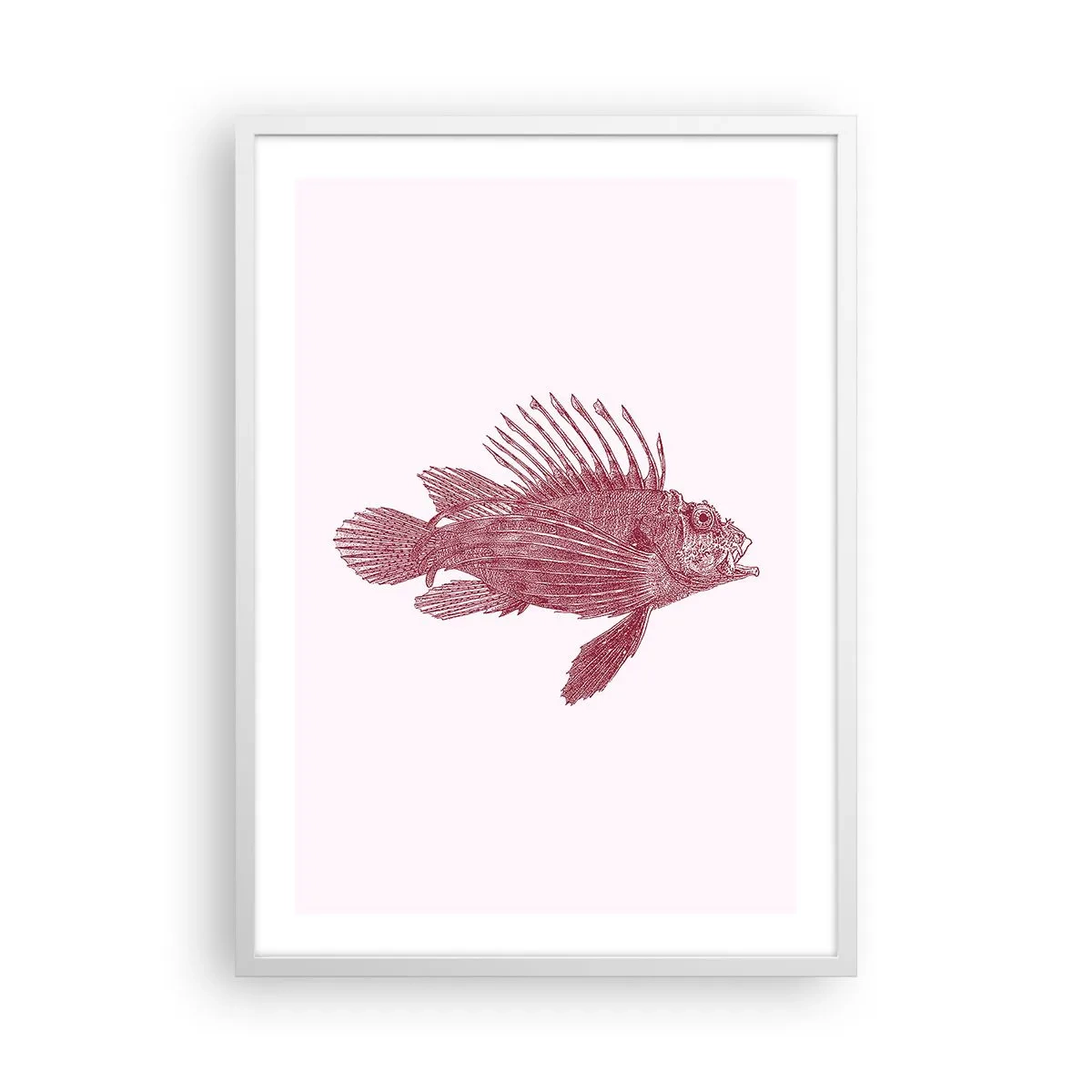 Poster in cornice bianca - Abitante di mari esotici - 50x70 cm