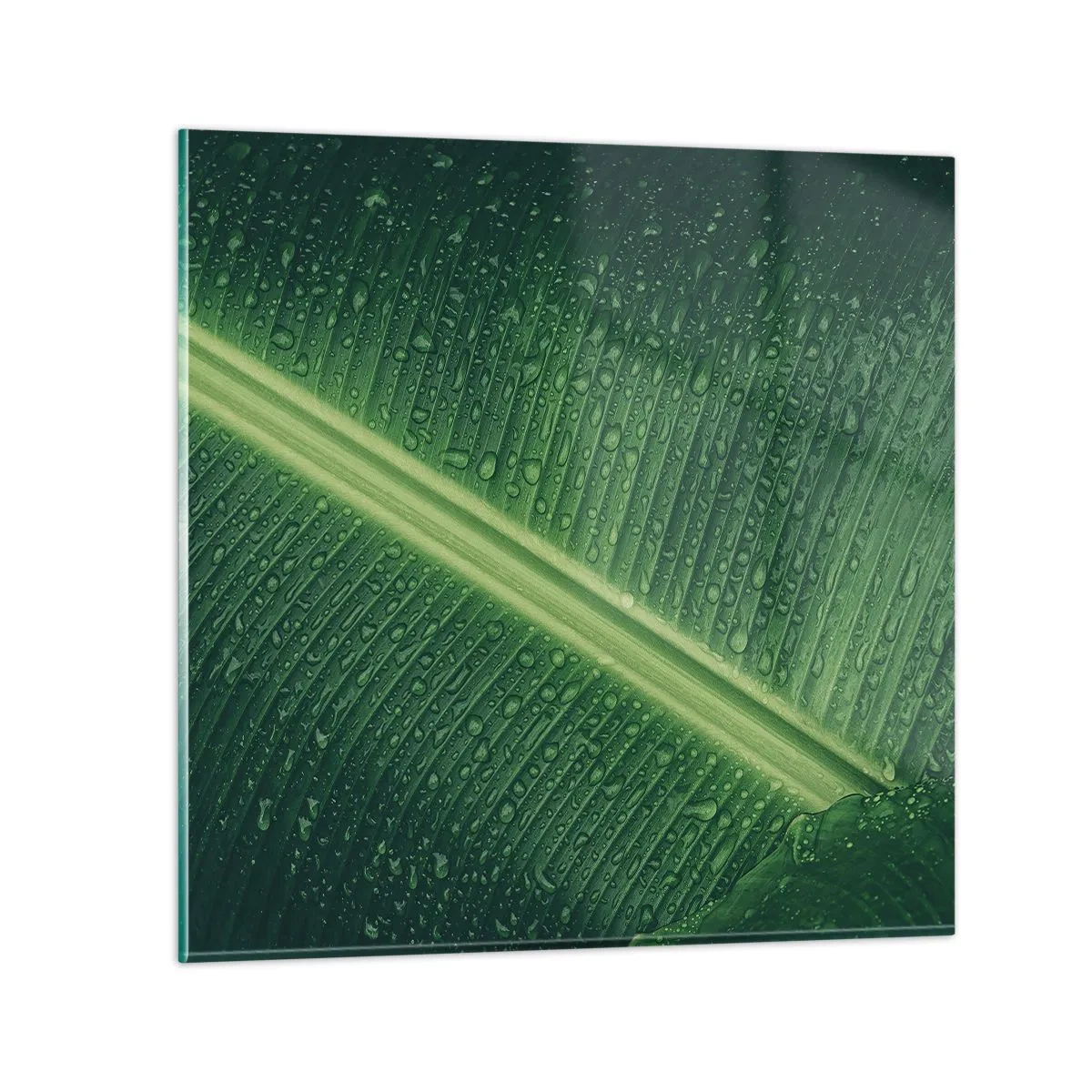 Quadro su vetro - La struttura del verde - 70x70 cm