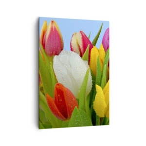 Quadro su tela - Stampe su Tela - Tulipani colorati ricoperti di gocce di rugiada su uno sfondo blu - 50x70cm - Fiori multicolori nella rugiada - Decorazione murale moderna per soggiorno e camera da letto ARTTOR