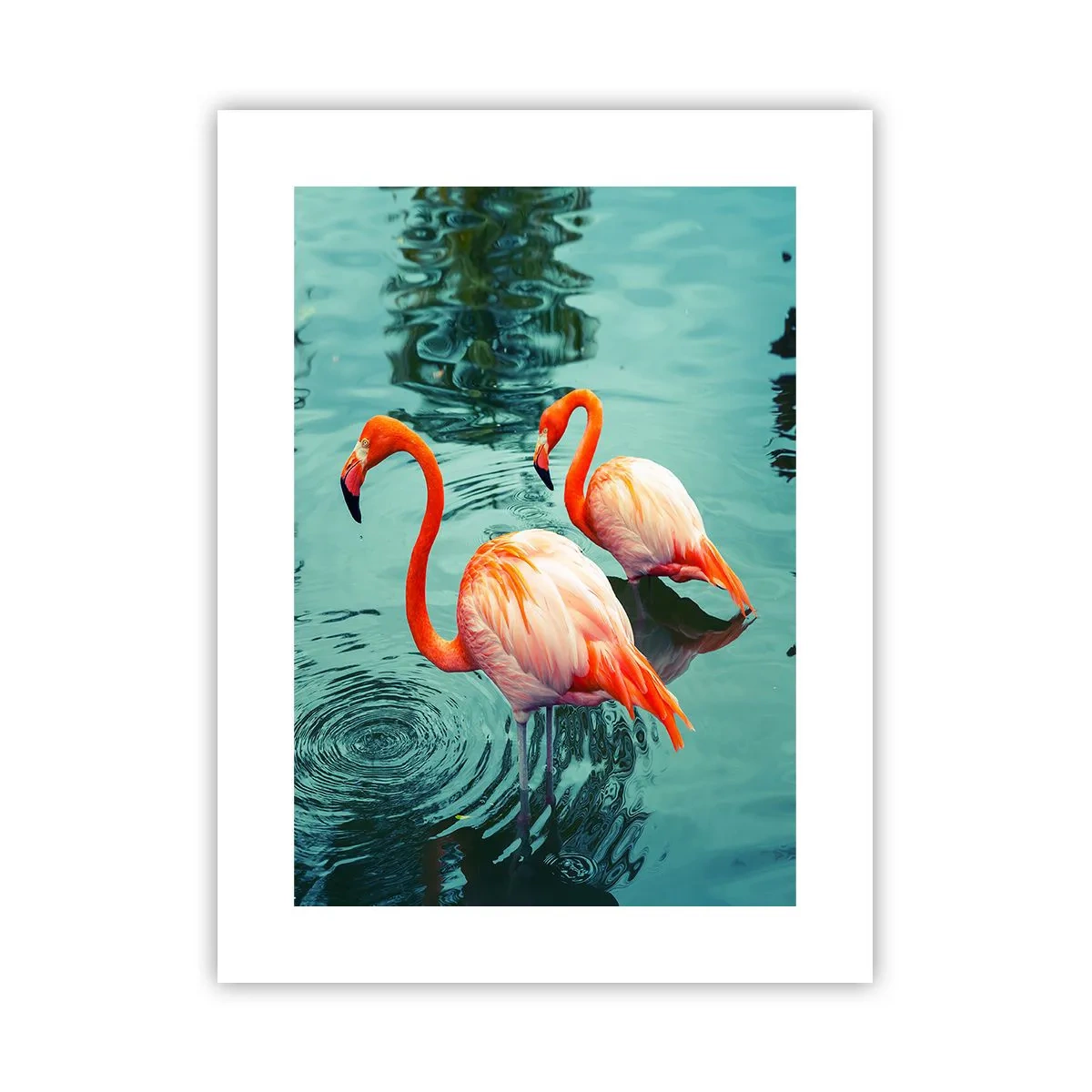 Poster - Adesso siamo di moda - 30x40 cm