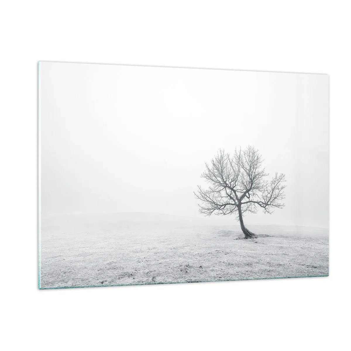 Quadro su vetro - Un albero solitario contro la nebbia in una composizione monocromatica - 120x80cm - Contro il nulla - Decorazione murale moderna per soggiorno e camera da letto ARTTOR