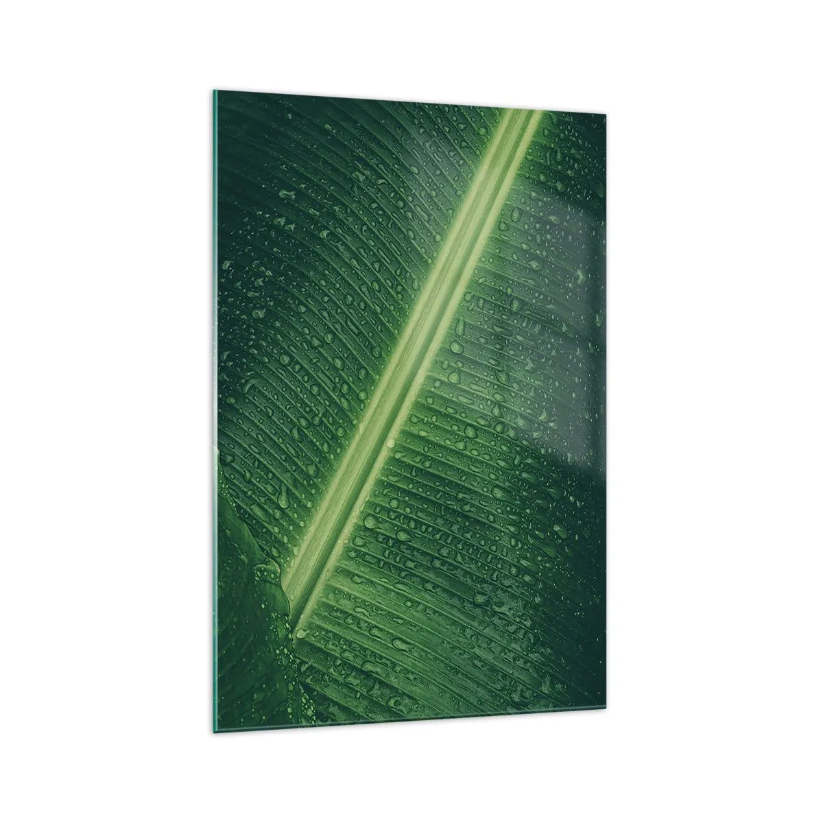 Quadro su vetro - Una foglia verde con gocce d'acqua sulla sua superficie - 70x100cm - La struttura del verde - Decorazione murale moderna per soggiorno e camera da letto ARTTOR