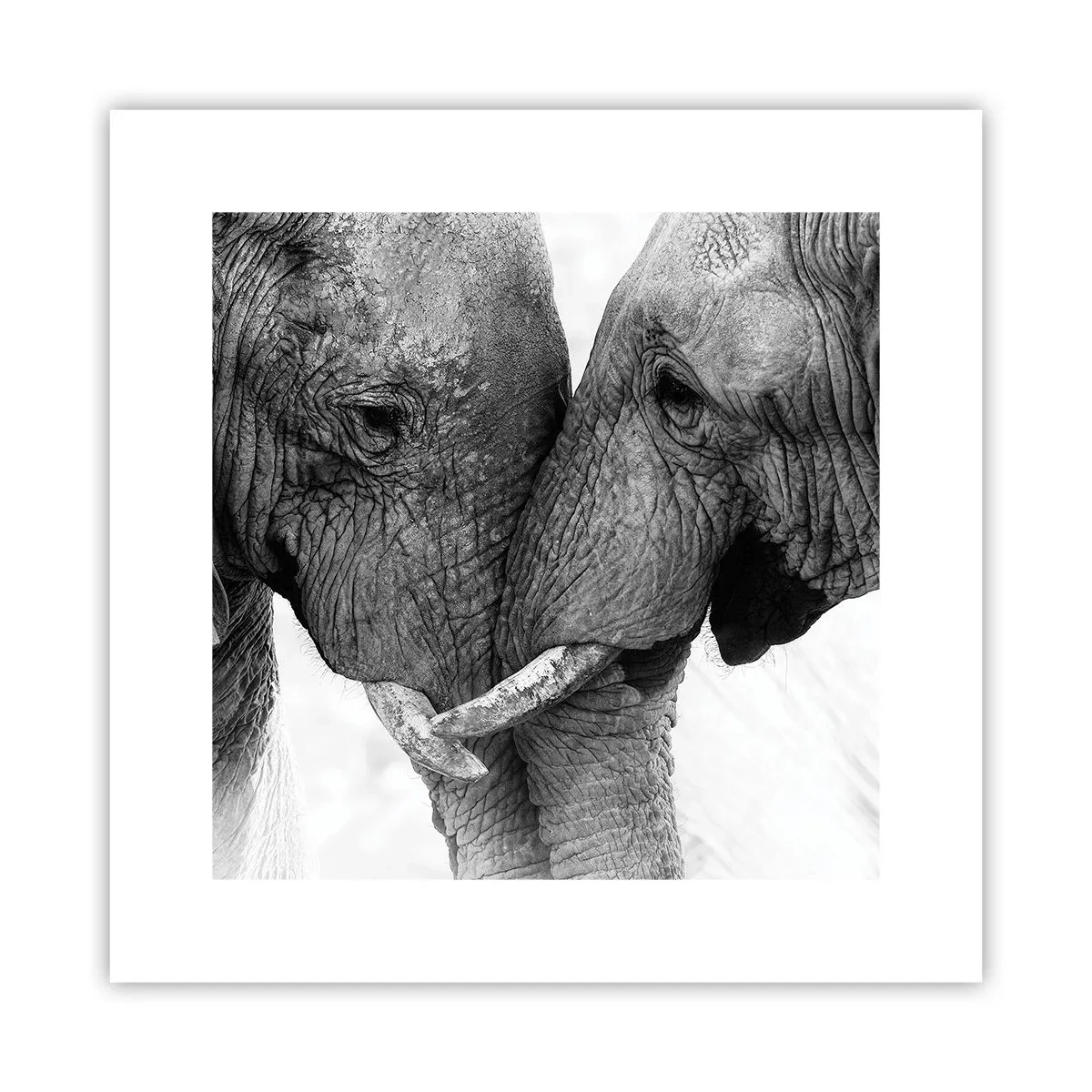 Poster - Dichiarazione sincera - 30x30 cm
