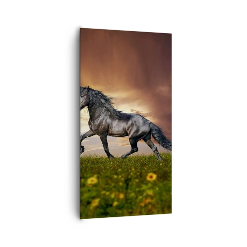 Quadro su tela - Stampe su Tela - Il principe nero - 65x120 cm