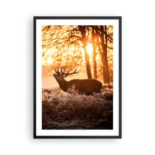 Poster in cornice nera - Cervi nei raggi del sole nascente sullo sfondo della foresta - 50x70cm - Il sogno del cacciatore - Decorazione murale moderna per soggiorno e camera da letto ARTTOR