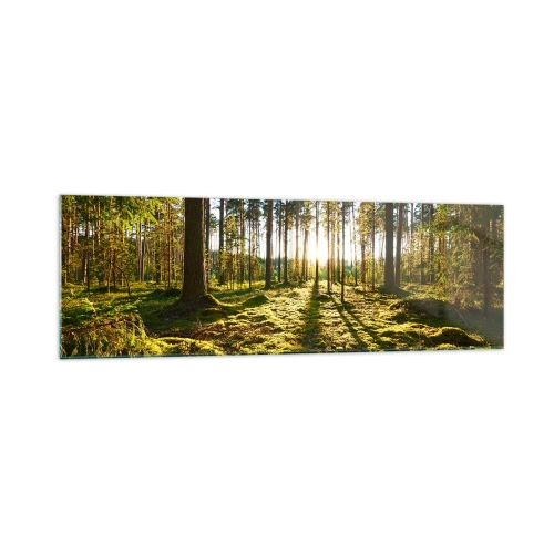 Quadro su vetro - Foresta verde illuminata dalla luce del sole sul muschio - 160x50cm - …dopo sette foreste - Decorazione murale moderna per soggiorno e camera da letto ARTTOR
