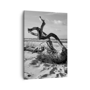 Quadro su tela - Stampe su Tela - Paesaggio in bianco e nero con un albero morto sulla spiaggia - 50x70cm - Scolpito dal mare - Decorazione murale moderna per soggiorno e camera da letto ARTTOR