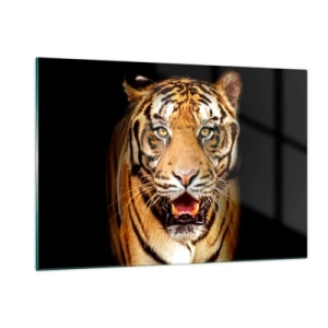 Quadro su vetro - Una tigre su uno sfondo scuro con uno sguardo intenso - 120x80cm - Cuore selvatico - Decorazione murale moderna per soggiorno e camera da letto ARTTOR