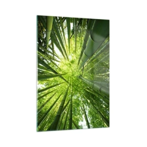 Quadro su vetro - Vista prospettica dall'alto della foresta di bambù - 50x70cm - Nella foresta di bambù - Decorazione murale moderna per soggiorno e camera da letto ARTTOR