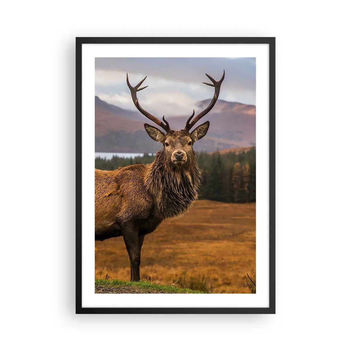 Poster in cornice nera - Fotografia di un cervo sullo sfondo di un paesaggio montano - 50x70cm - Maestà della natura - Decorazione murale moderna per soggiorno e camera da letto ARTTOR