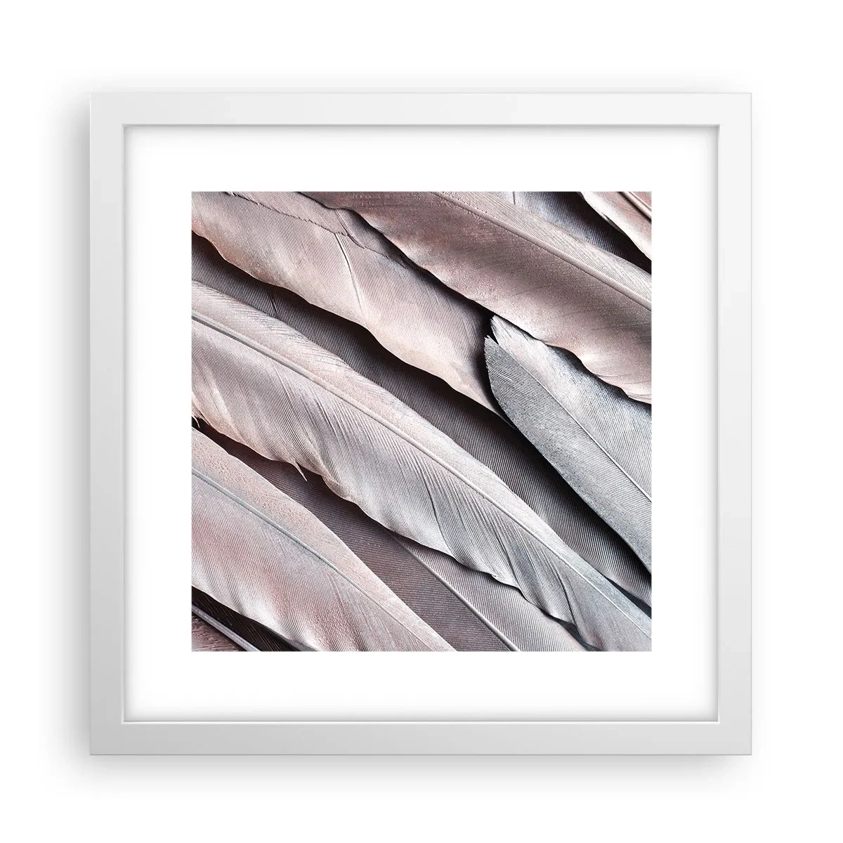 Poster in cornice bianca - Argento rosato - 30x30 cm