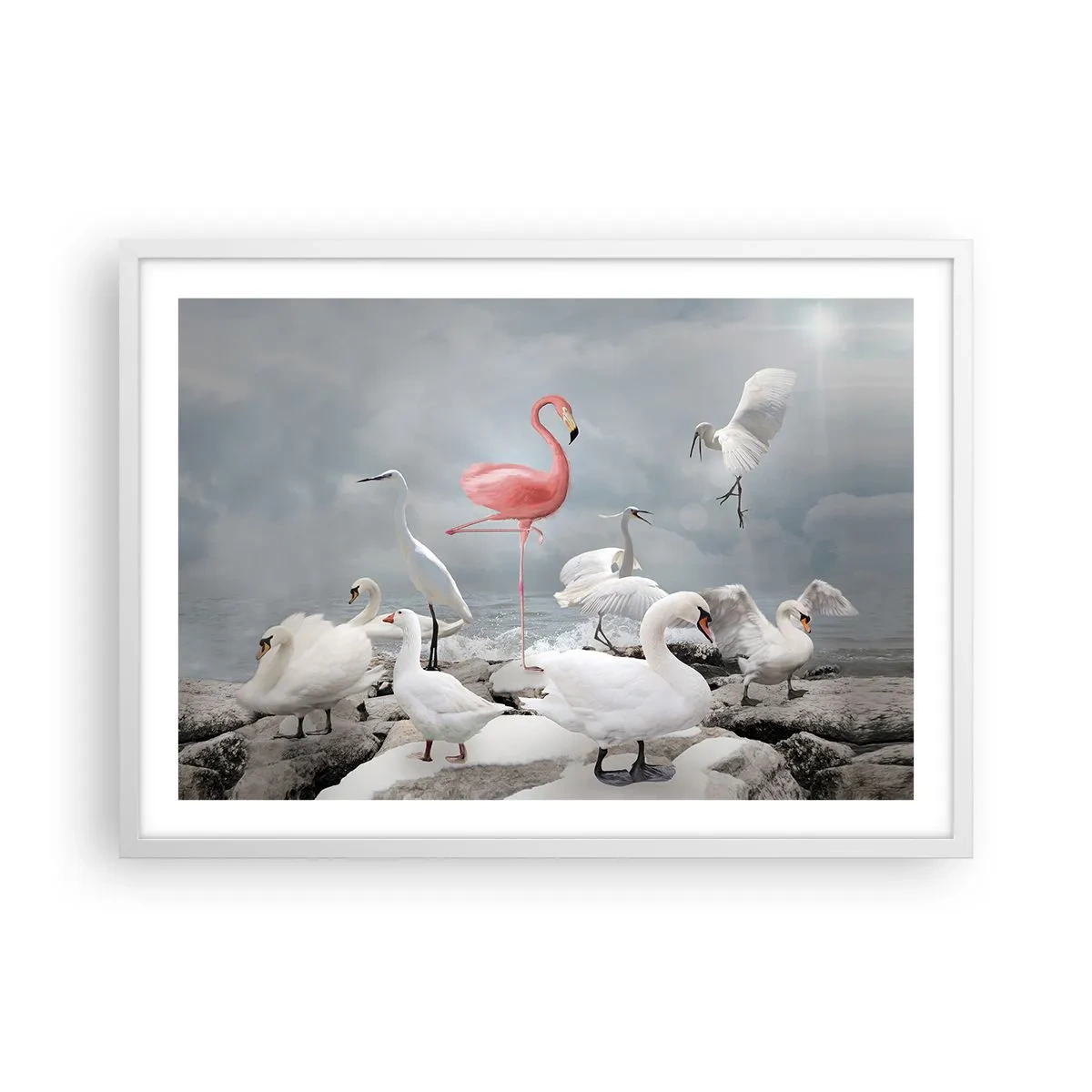 Poster in cornice bianca - Come sono arrivato qui? - 70x50 cm