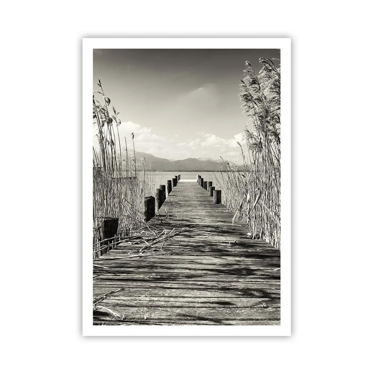 Poster - Nel silenzio dell'erba - 70x100 cm