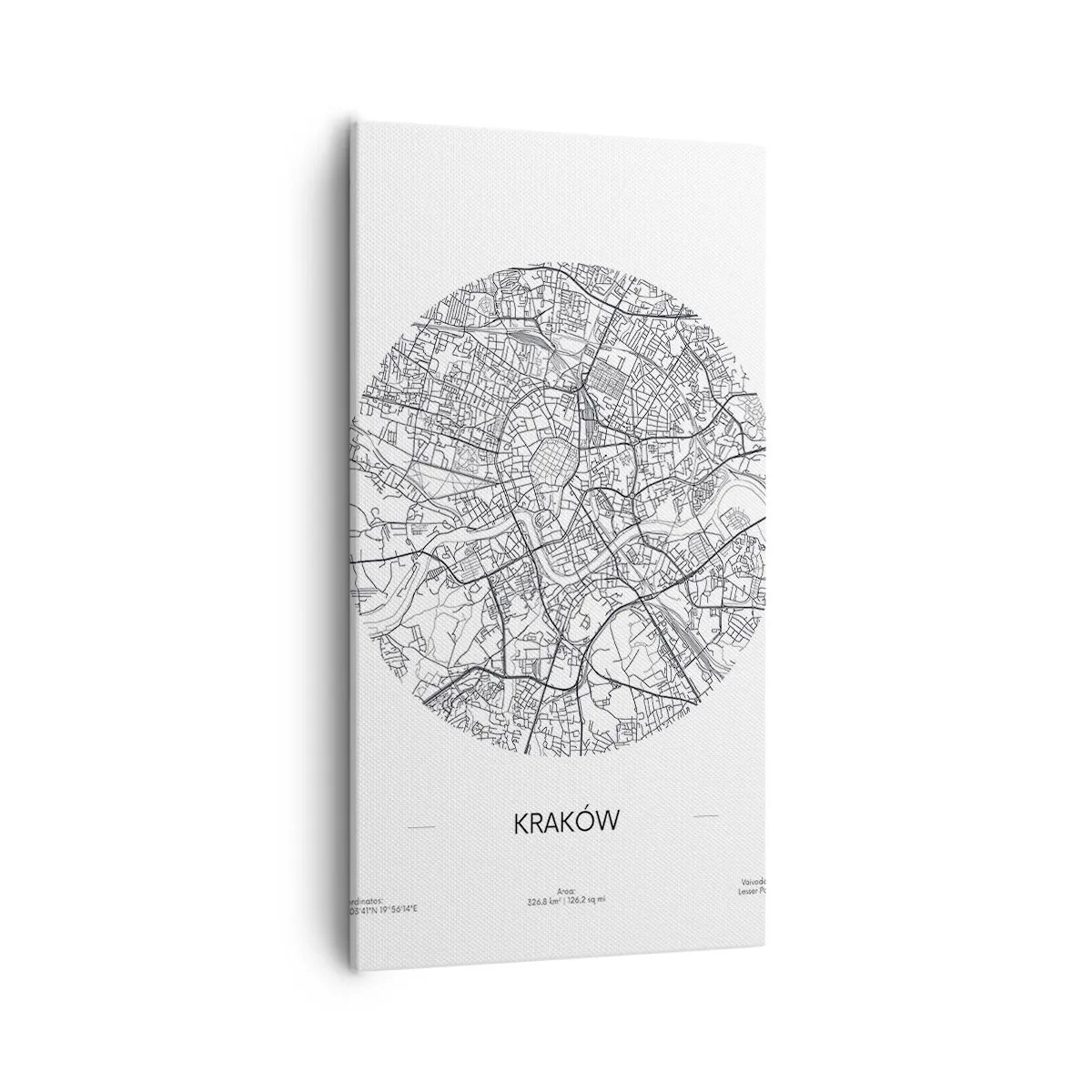 Quadro su tela - Stampe su Tela - Anatomia di Cracovia - 55x100 cm