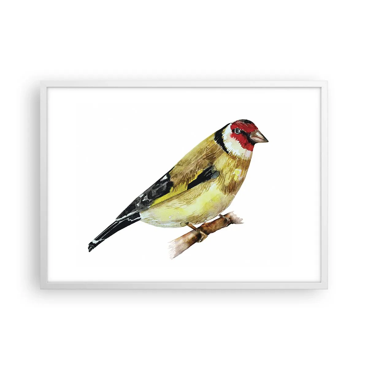 Poster in cornice bianca - Ritratto di uccello - 70x50 cm