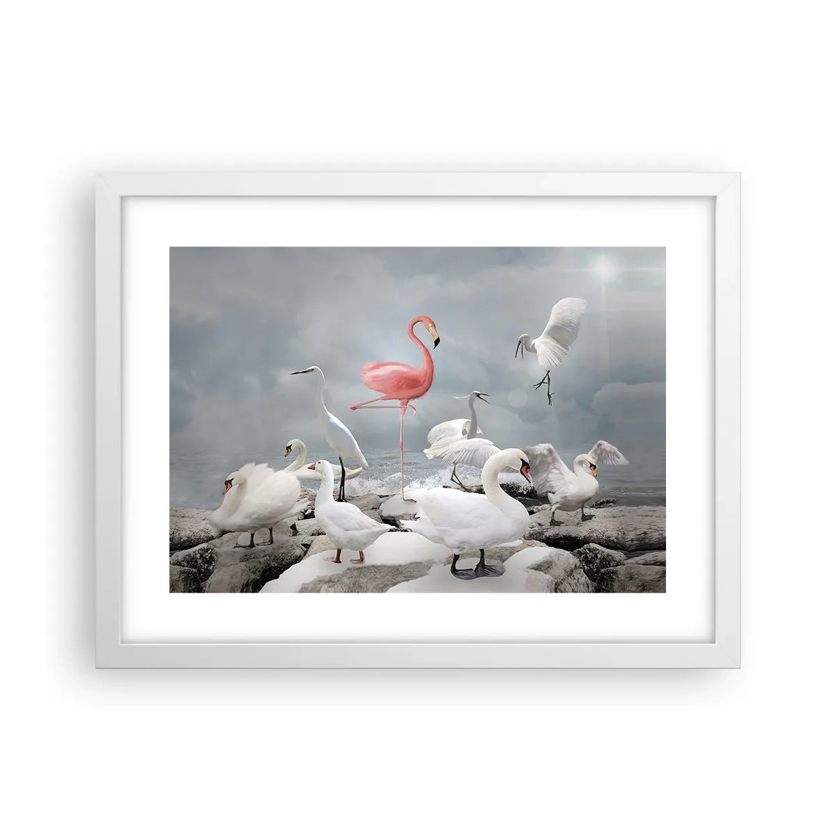 Poster in cornice bianca - Come sono arrivato qui? - 40x30 cm