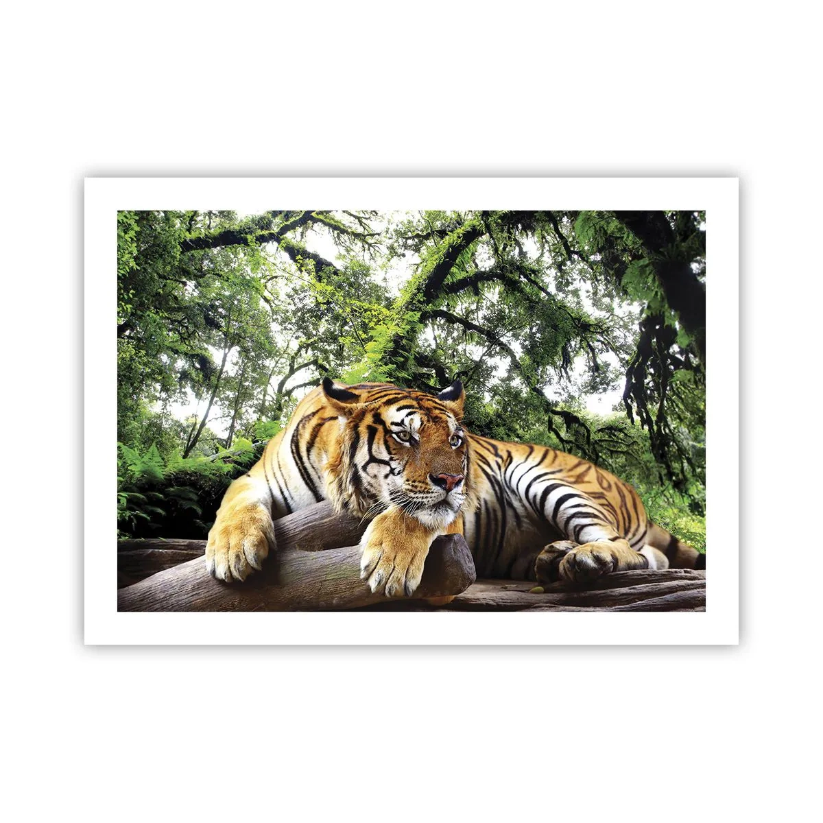 Poster - Con espressioni di stima - 70x50 cm