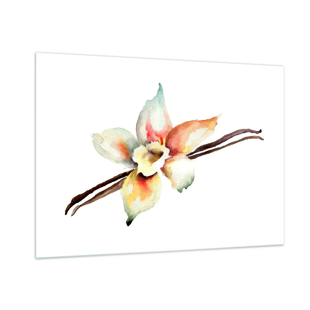 Quadro su vetro - Illustrazione ad acquerello di un fiore di vaniglia su sfondo bianco - 100x70cm - Dolcezza versata con la vernice - Decorazione murale moderna per soggiorno e camera da letto ARTTOR