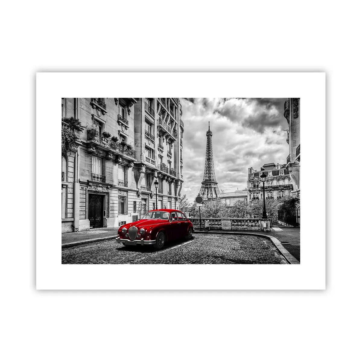 Poster - Predatore in città - 40x30 cm