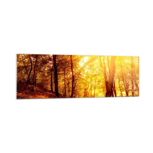 Quadro su vetro - Radura autunnale alla luce dorata del sole con un sentiero nel bosco - 160x50cm - Verso la radura dorata - Decorazione murale moderna per soggiorno e camera da letto ARTTOR
