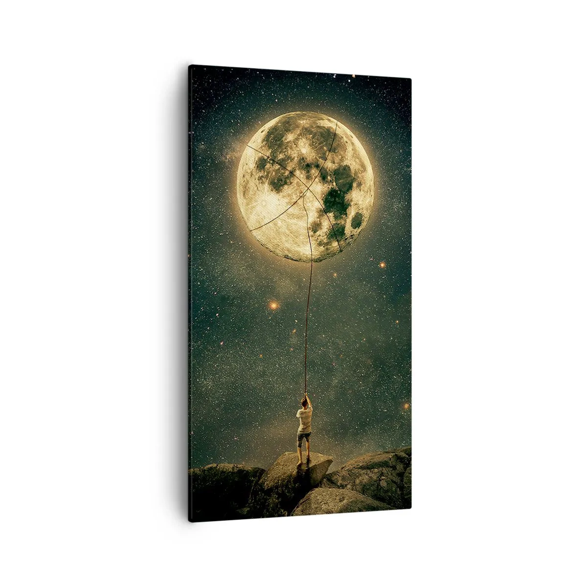 Quadro su tela - Stampe su Tela - Chi ha rubato la luna - 55x100 cm
