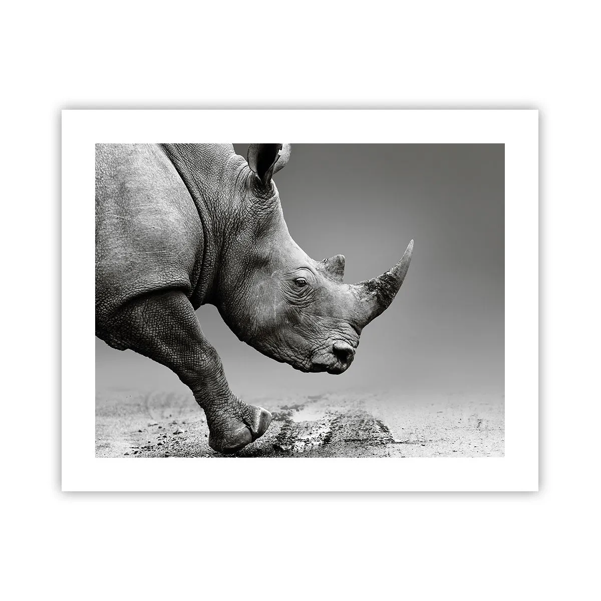Poster - Forza irrefrenabile - 50x40 cm