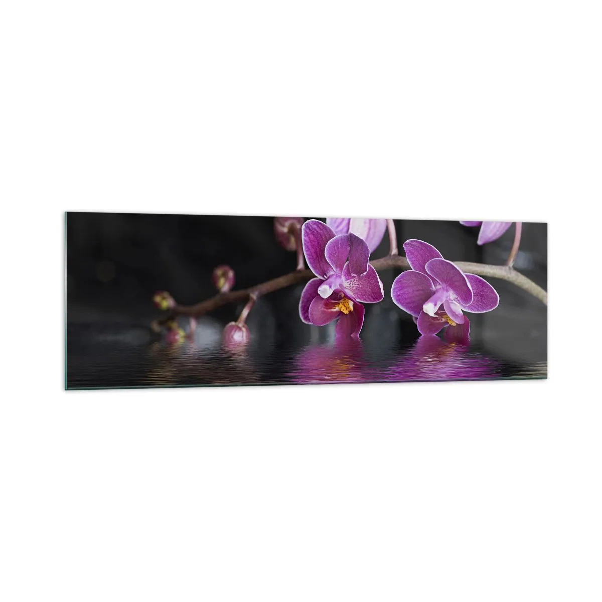 Quadro su vetro - Orchidee viola su acqua calma su sfondo nero - 160x50cm - La bellezza riflessa dai gigli - Decorazione murale moderna per soggiorno e camera da letto ARTTOR