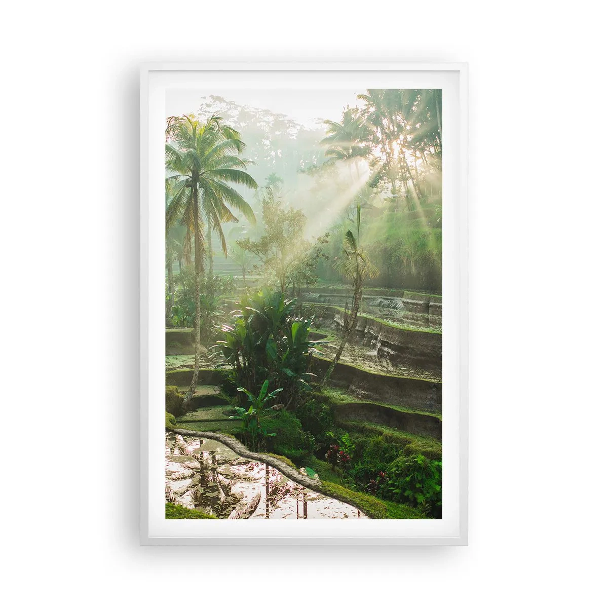 Poster in cornice bianca - Crescere al sole - 61x91 cm