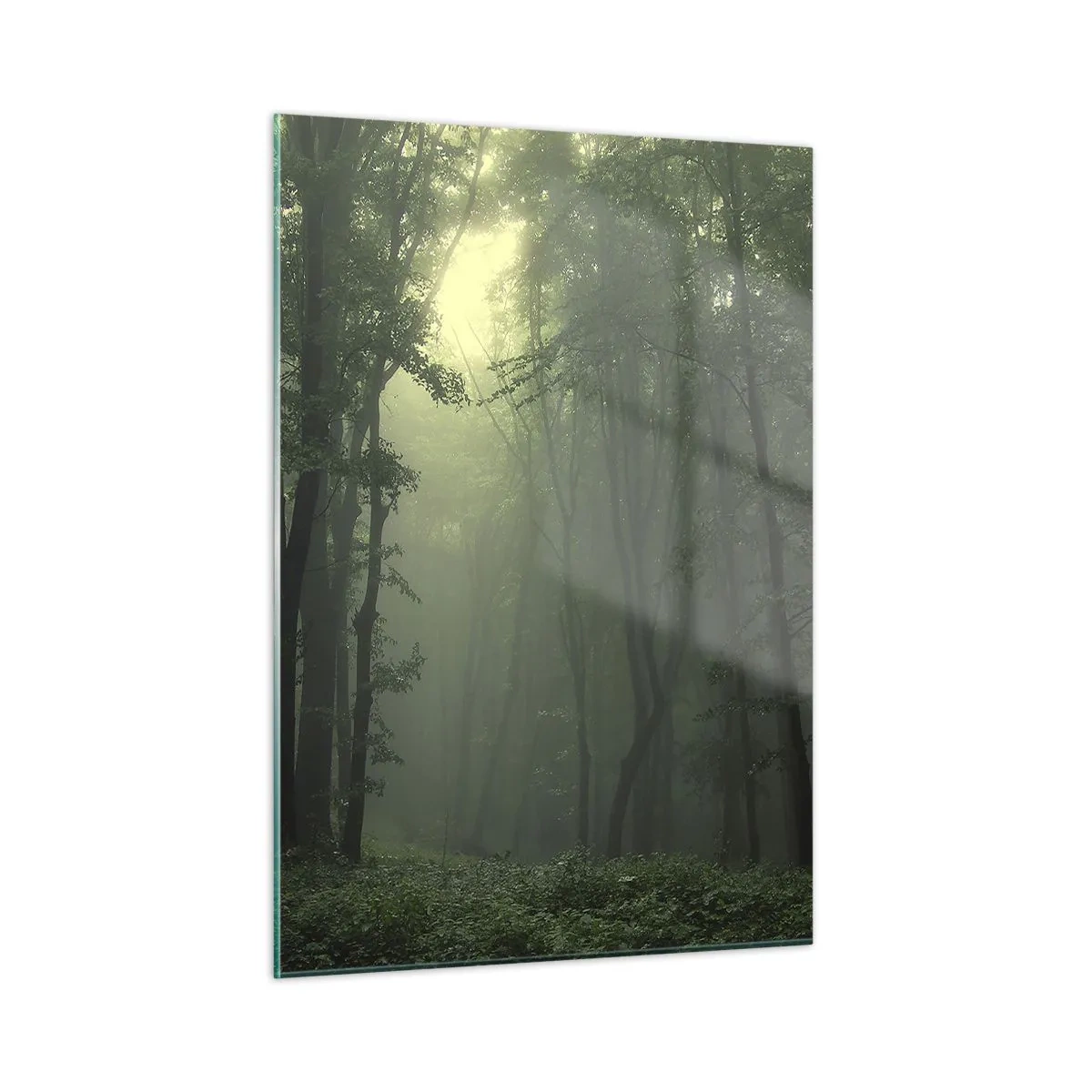 Quadro su vetro - Una foresta oscura avvolta nella nebbia con raggi di luce - 50x70cm - Prima che si svegli - Decorazione murale moderna per soggiorno e camera da letto ARTTOR
