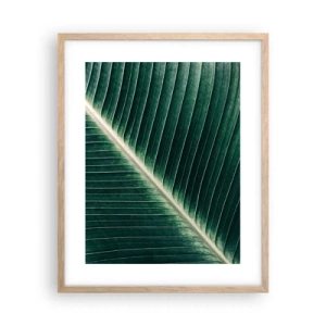 Poster in cornice rovere chiaro - Il ritmo della natura - 40x50 cm