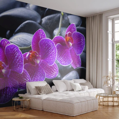 Fotomurali Premium Canvas - Le pietre brillano di ammirazione - Fiori, Pietre, Orchidea - 250x175 cm