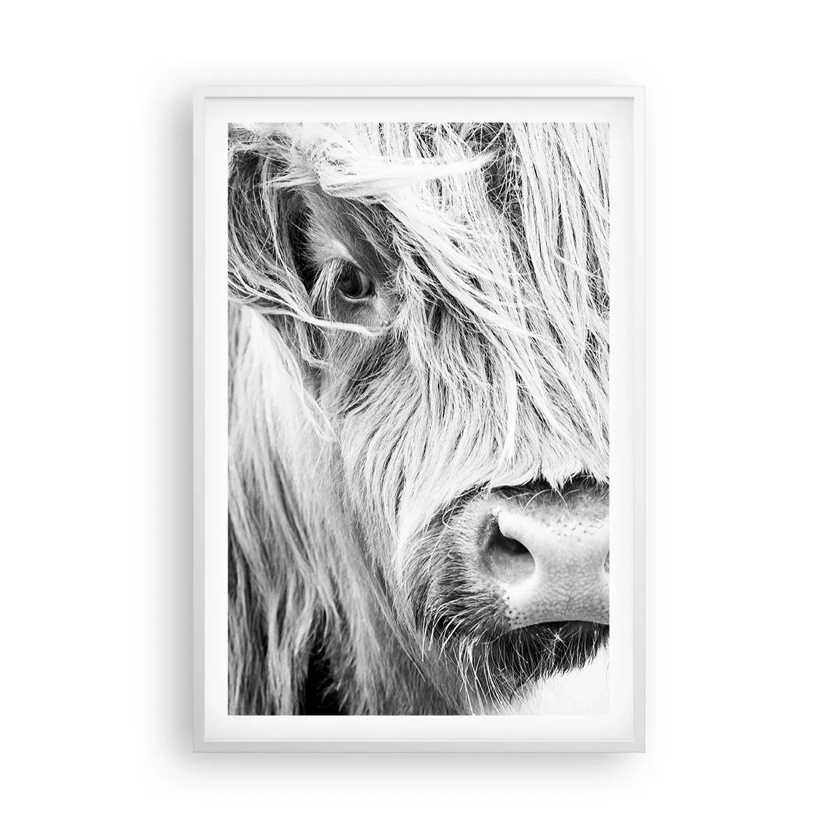 Poster in cornice bianca - Selvaticità scozzese - 61x91 cm